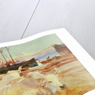 Oxen on the Beach at Baia, c.1908 by John Singer Sargent