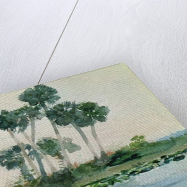 St. John's River, Florida, 1890 by Winslow Homer