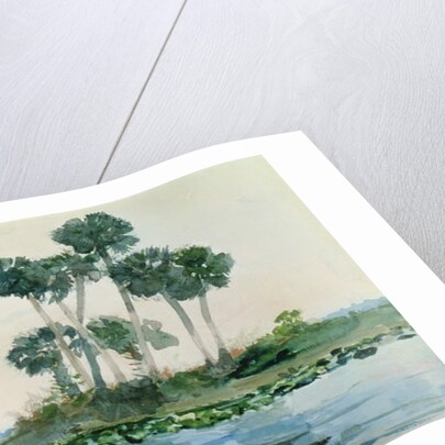 St. John's River, Florida, 1890 by Winslow Homer