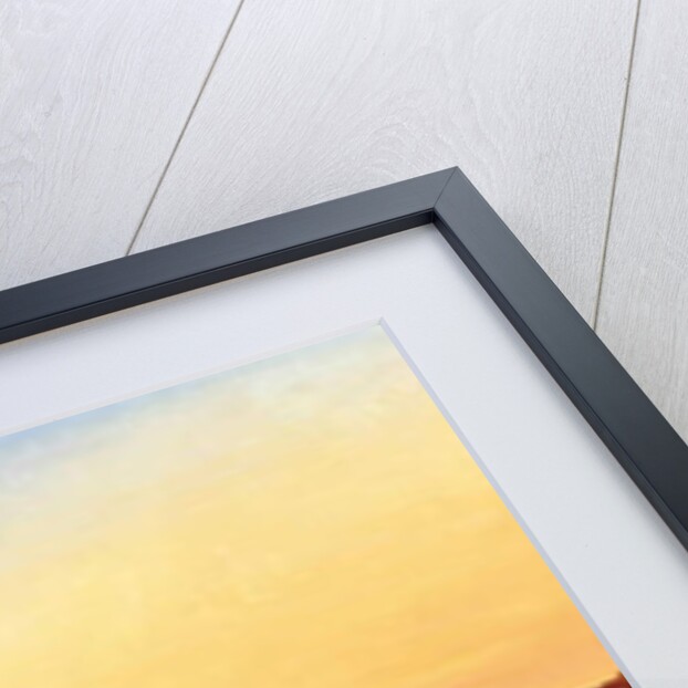 Egyptian Oasis, 1866 by John Inesco Williams