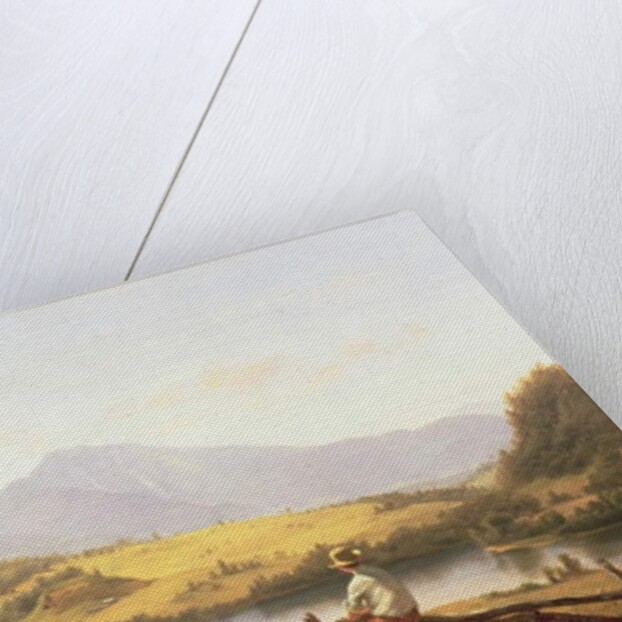 Mount Mansfield, Vermont, 1861 by Jerome Thompson