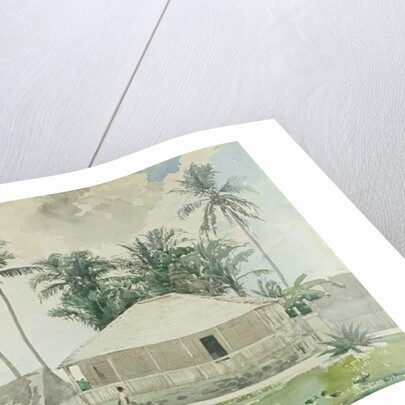 Cabins, Nassau, 1885 by Winslow Homer