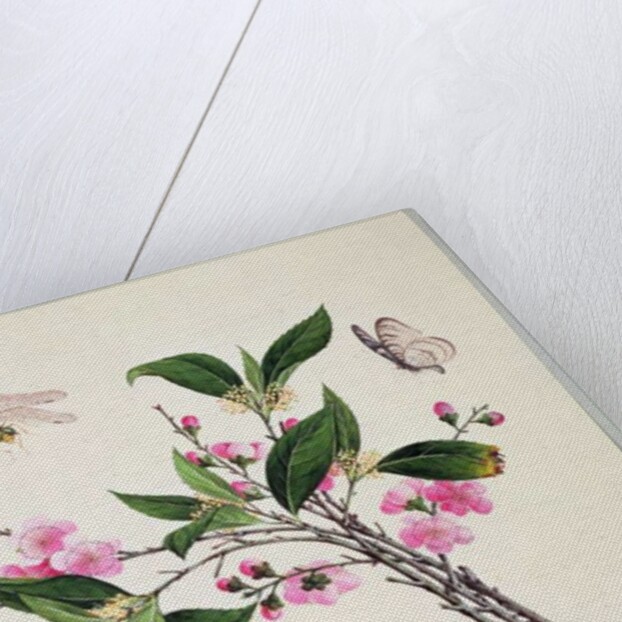 Cherry Blossom Dragonfly and Butterfly by School Chinese