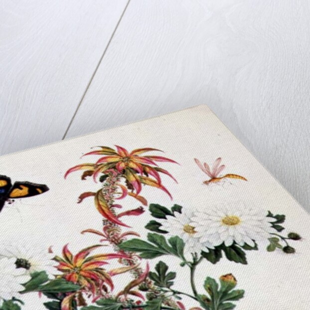 Two Stems of Amaranthus and Chrysanthemum with a Wasp and a Butterfly by School Chinese