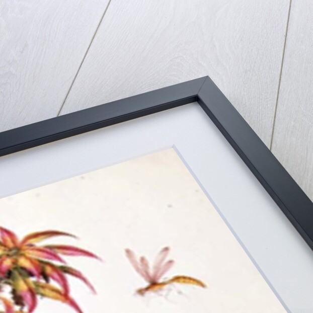 Two Stems of Amaranthus and Chrysanthemum with a Wasp and a Butterfly by School Chinese