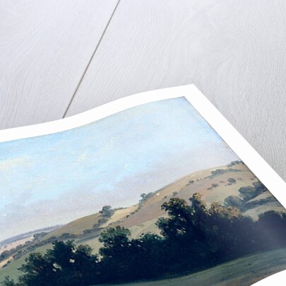 Young Man Reclining on the Downs, c.1833-35 by Theodore Caruelle d' Aligny