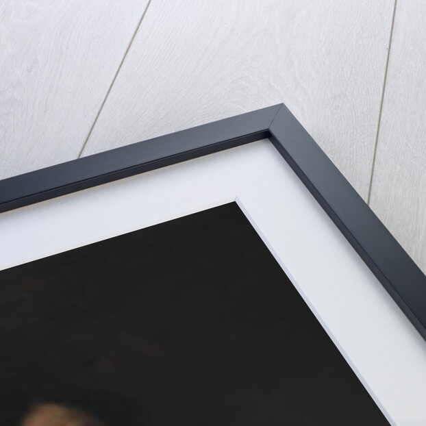 Sir John Finch, c.1665-70 by Carlo Dolci