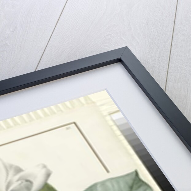 Magnolia yulan Magnolia denudata, 1812 by Pierre Joseph Redouté