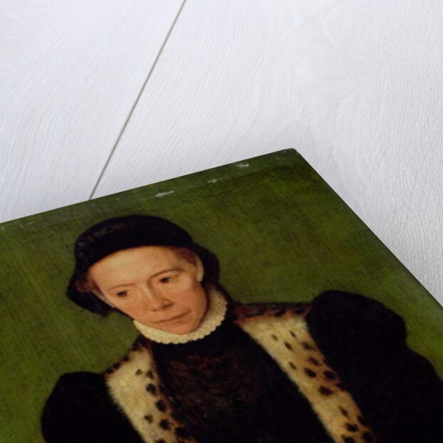 Portrait of a Woman by Katharina van Hemessen