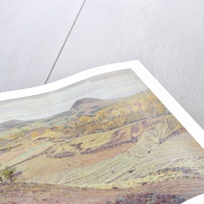 In the Auvergne by George Price Boyce