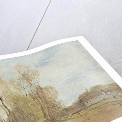 Auvers-sur-Oise: Daubigny's pond, c.1855 by Jean Baptiste Camille Corot