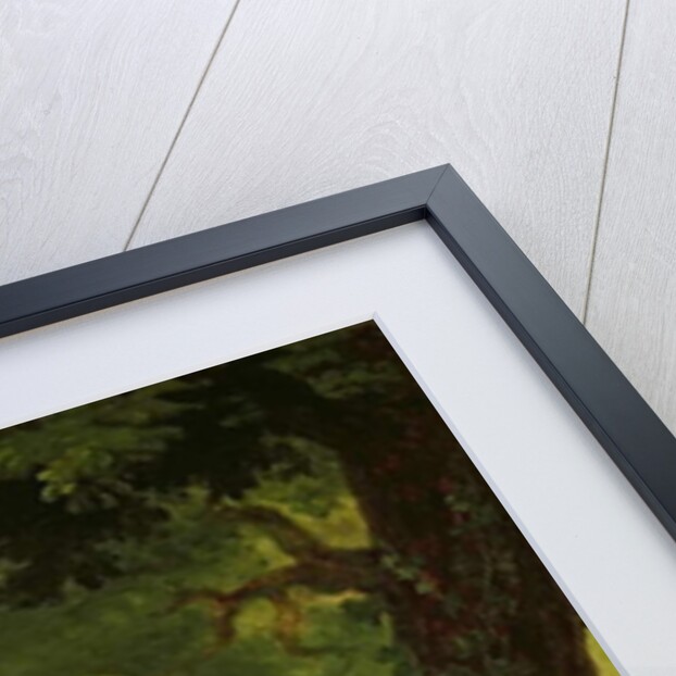 Portrait of Adelaide-Sophie Cleret, c.1817 by Francois Edouard Picot