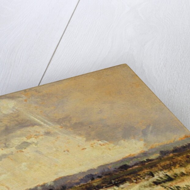 The Marsh in the Souterraine, 1842 by Theodore Rousseau