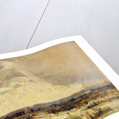 The Marsh in the Souterraine, 1842 by Theodore Rousseau