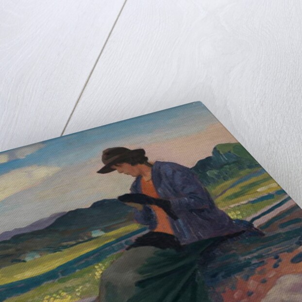 Lyndra in Wales, 1910-14 by Derwent Lees