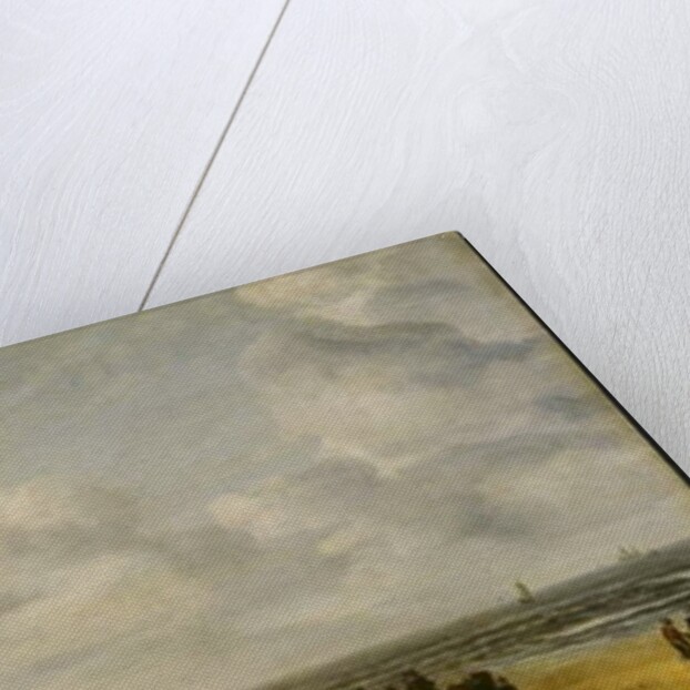 View of Scheveningen Sands, c.1630 by Hendrik van Anthonissen