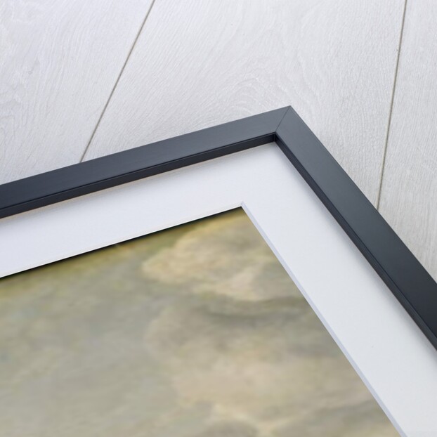 View of Scheveningen Sands, c.1630 by Hendrik van Anthonissen