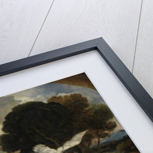 The Descent of the Swan by James Ward