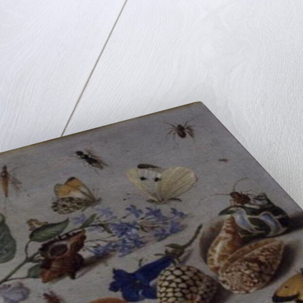 Butterflies and other Insects, 1661 by Jan van the Elder Kessel