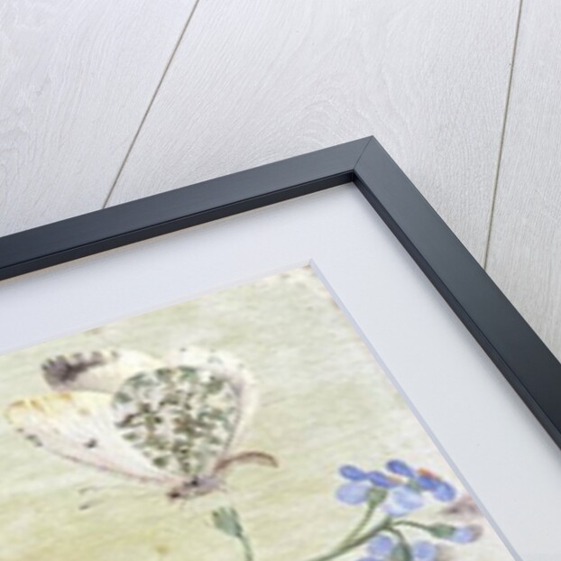 Insects by Jan van the Elder Kessel