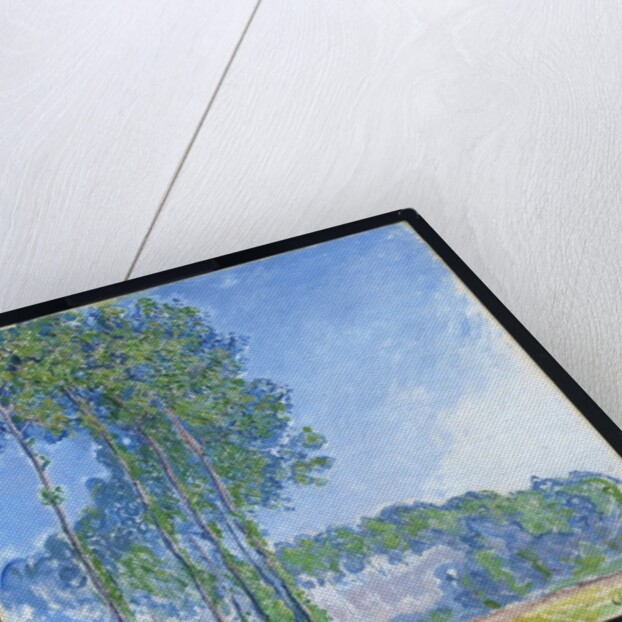 Poplars, 1891 by Claude Monet