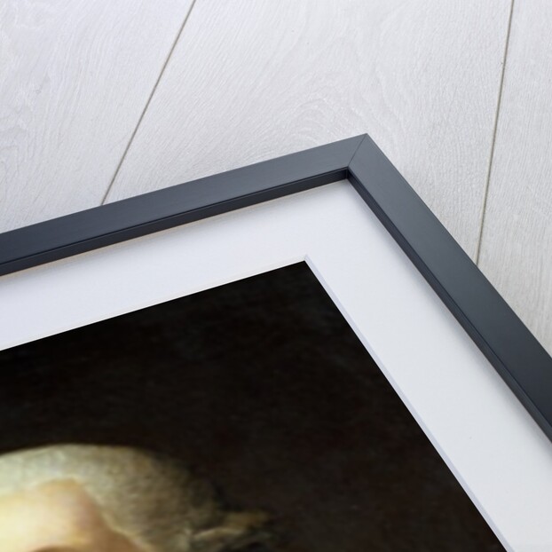 Portrait of George Washington, before 1801 by Gilbert Stuart