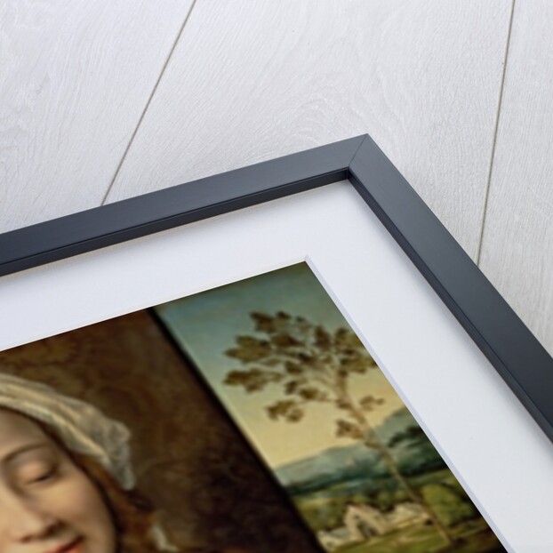 Madonna and Child, c.1525-30 by Joos van Cleve