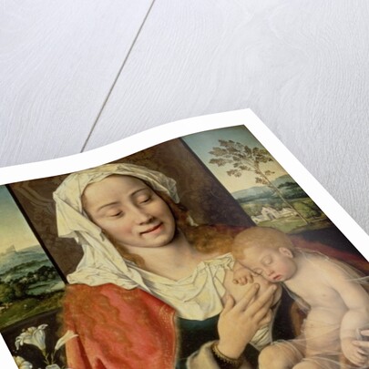 Madonna and Child, c.1525-30 by Joos van Cleve