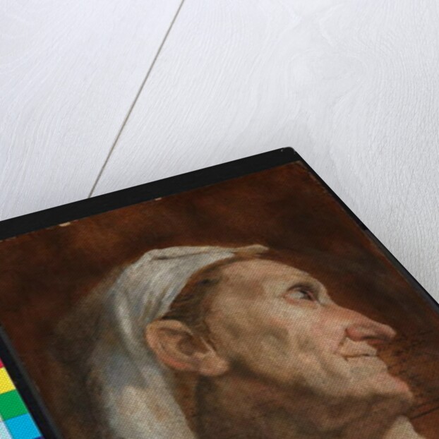 Head of an old woman, c.1590 by Annibale Carracci