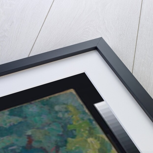 A view from the window at 6 Cambrian Road, Richmond, before 1914 by Spencer Frederick Gore