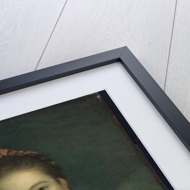 Mrs Angelo, 1760 by Joshua Reynolds