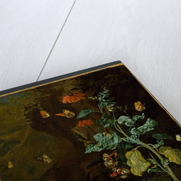 A still life with flowers, butterflies and a lizard in a dell, before 1750 by Rachel Ruysch