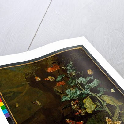 A still life with flowers, butterflies and a lizard in a dell, before 1750 by Rachel Ruysch