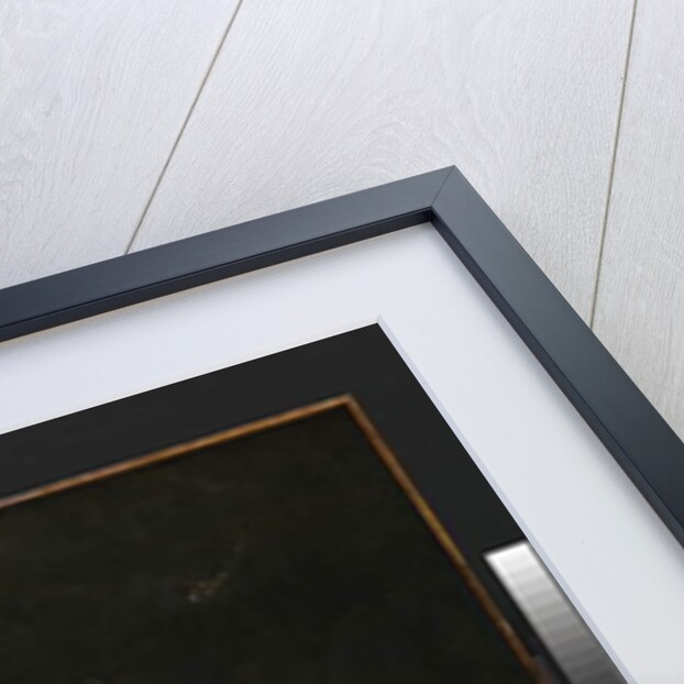 Flowers, insects and reptiles, 1673 by Otto Marseus van Schrieck