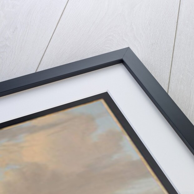 A marine sham-fight on the Y before Amsterdam, before 1710 by Abraham Storck