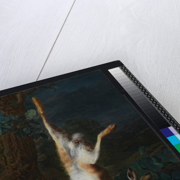 A dead hare, before 1782 by Pieter Snyers