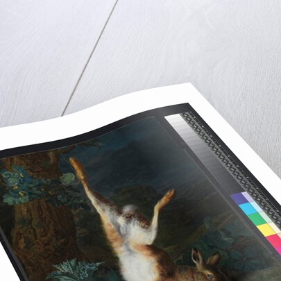 A dead hare, before 1782 by Pieter Snyers