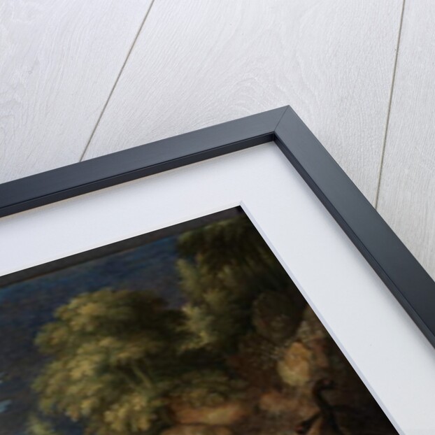 The Creation of Birds, 1619 by Roelandt Jacobsz. Savery