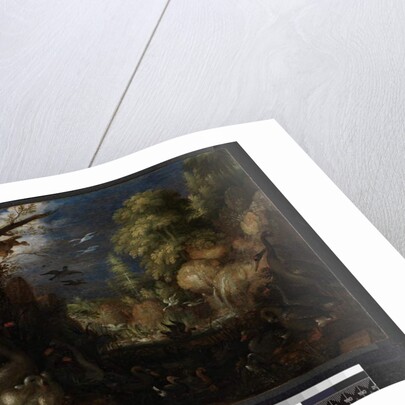 The Creation of Birds, 1619 by Roelandt Jacobsz. Savery