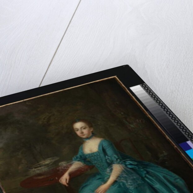 Lady Milner, 1760 by Arthur Devis