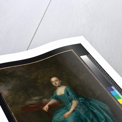 Lady Milner, 1760 by Arthur Devis