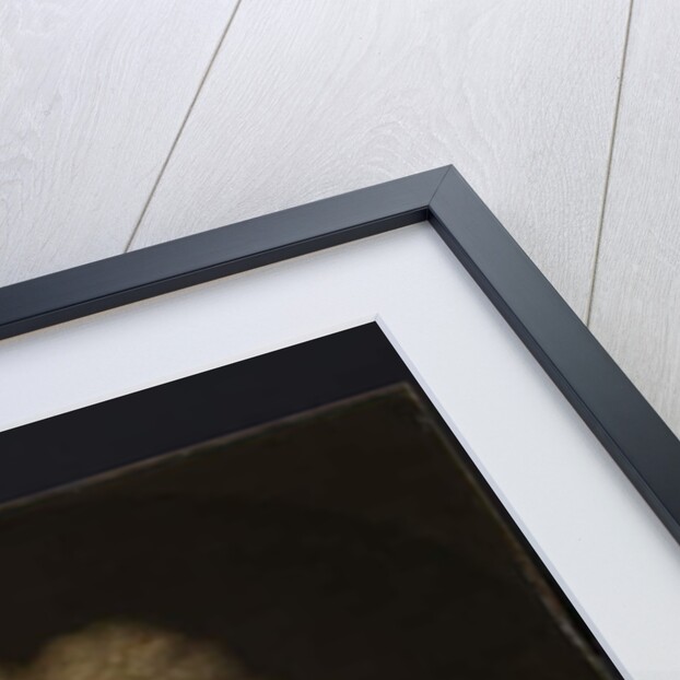 Richard Snow, 1738 by Arthur Pond