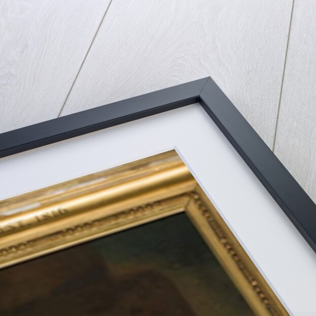 General Lloyd, 1773 by Nathaniel Hone