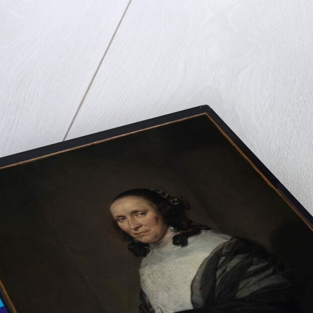 Portrait of a woman, 1660 by Jan de Bray