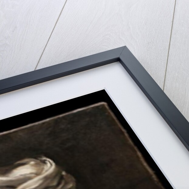 Girl with a Cat, before 1747 by Giuseppe Maria (1665-1747) Crespi