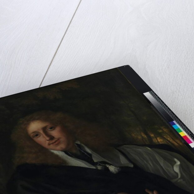 Portrait of a man, 1662 by Bartolomeus van der Helst