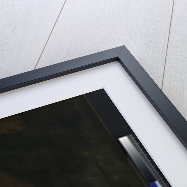 Portrait of a man, 1662 by Bartolomeus van der Helst