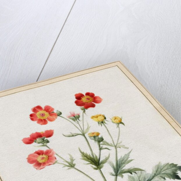 Composite, 1827 by Louise D'Orleans