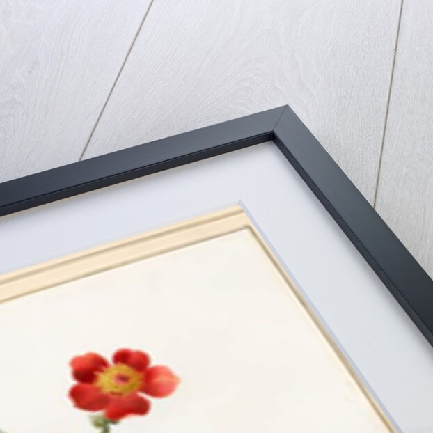 Composite, 1827 by Louise D'Orleans