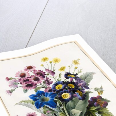 Mixed Flowers, Aster sp., Auricula, Ragwort, Viola, Campanula, Gentiana Acaulis, 1828 by Louise D'Orleans